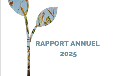 Rapport annuel 2025
